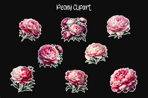 Peony Clipart Graphic By Charmsnkissesxoxo · Creative Fabrica