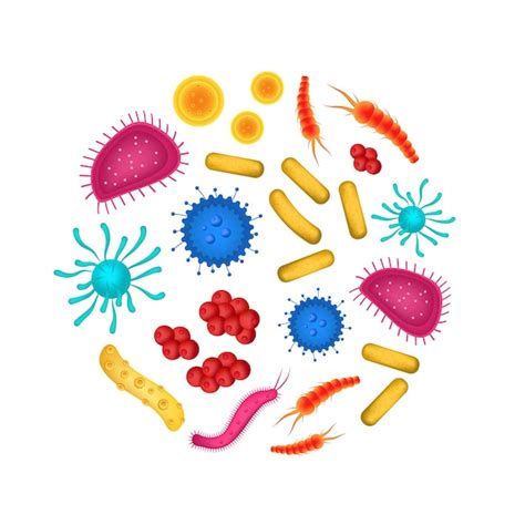 Premium Vector Realistic Detailed 3d Virus And Bacteria Round Design