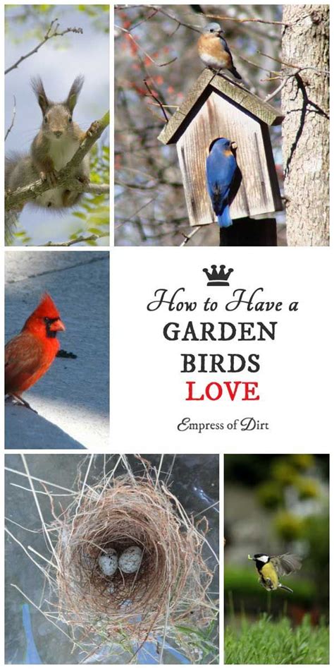 How To Create A Garden Birds Love Artofit