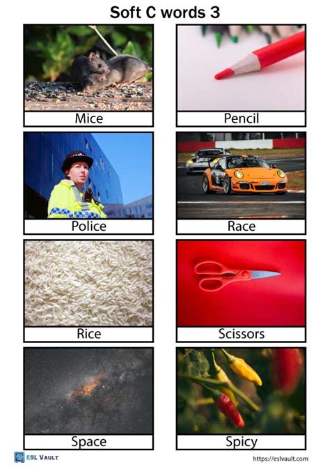 Soft C Words Words List And Pictures Esl Vault