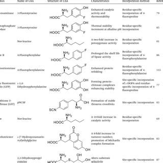 Synthesis Of Uaas A Synthesis Of L Homoalanine B Synthesis Of