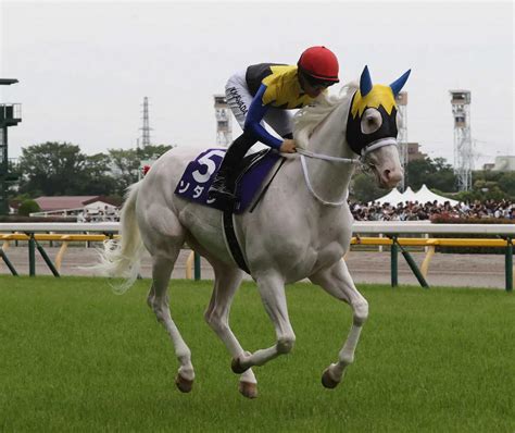 【安田記念】ソダシは一夜明け自厩舎で静養 今浪厩務員「無事に帰ってきてくれたのが一番」 スポニチ競馬web