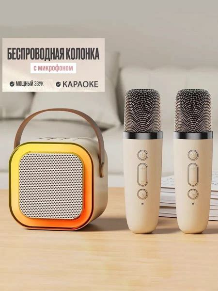 Беспроводная колонка DIY Retail Караоке колонка с микрофонами Kintana ...
