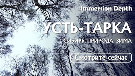 Усть-Тарка, Новосибирская область | Сибирь, природа, зима | 🌏 2021 ...