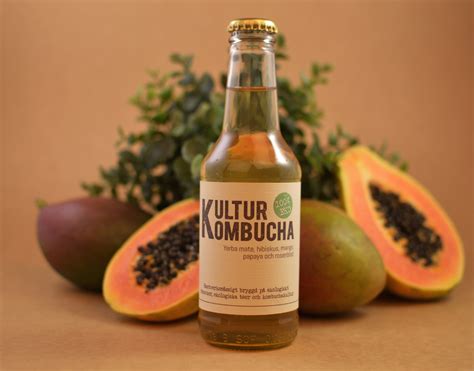 Kultur Kombucha Alexandra S Tjerkasjin