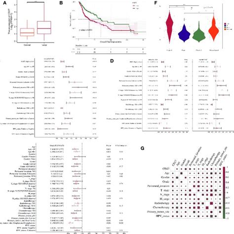 Association Between Gene Expression Level And Clinical Characteristics