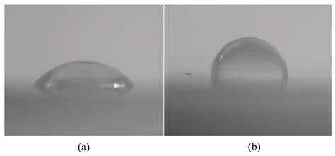 Fabrication of Mg Coating on PEEK and Antibacterial Evaluation for Bone