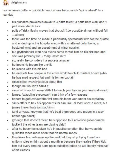 The Marauders James Potter Quidditch Headcanons Part 1 James