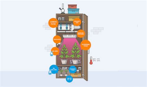 The 10 Best Grow Box Stealth Grow Box And Hydroponic Grow Box 2021
