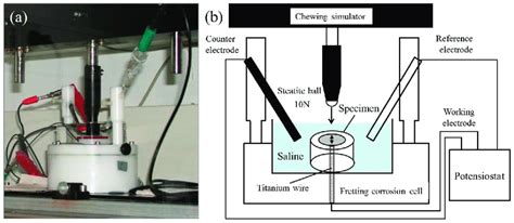 A Fretting Corrosion Cell B A Schematic Diagram Of The Fretting Download Scientific