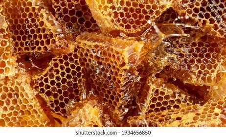 Realistic Bee Wax Combs Splashing Liquid Stock Photo