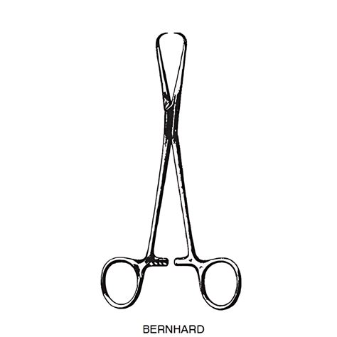 Towel Forceps Bernhard Reda Instrumente Gmbh