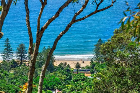 65 Plateau Road Bilgola Plateau Nsw 2107