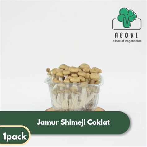 Jual Jamur Shimeji Coklat 1 Pack Sayur ABOVE Shopee Indonesia