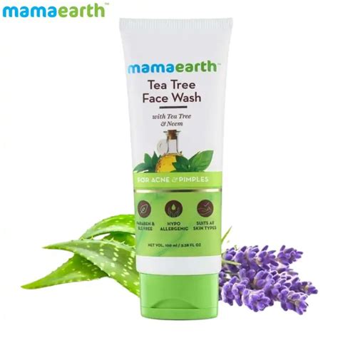 MAMAEARTH Tea Tree Face Wash 100 ML Kinaun कन Online Shopping