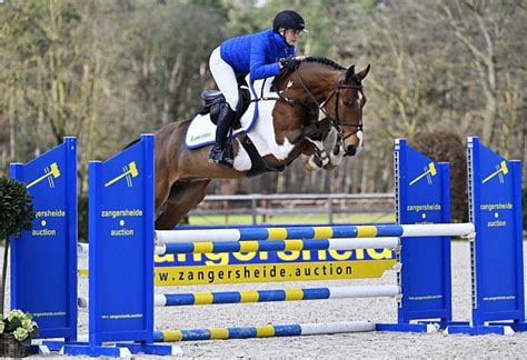 Talons Approuv S Et Jeunes Chevaux En Vente Aupr S Des Ench Res En