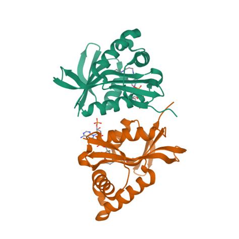 Rcsb Pdb Wwz Crystal Structure Of Ph From Pyrococcus Horikoshii Ot