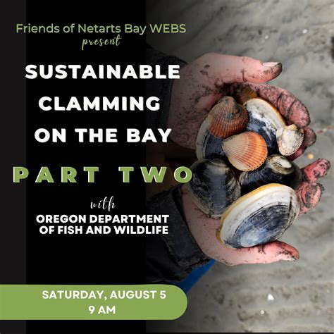 Sustainable Clamming On The Bay Part 2 Tillamook Chamber Of Commerce