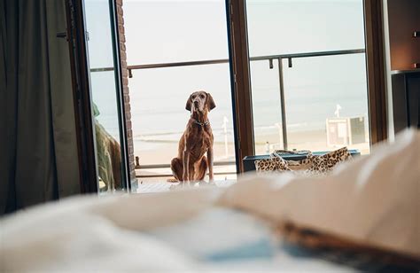 Willkommen Im Hotel HAUS AM MEER Norderney