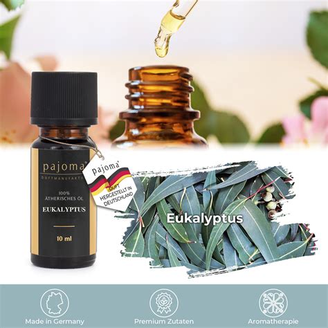 Duftöl 10 ml Eukalyptus 100 naturreines Ätherisches Öl GreatVita