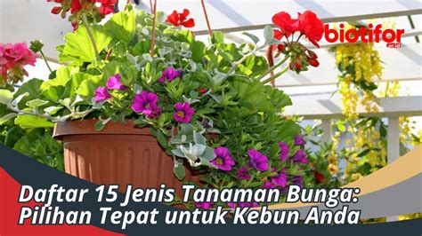 Jenis Tanaman Perdu Pilihan Terbaik Untuk Taman Anda Biotifor