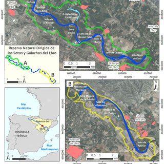 Localizaci N De La Reserva Natural Dirigida De Los Sotos Y Galachos Del