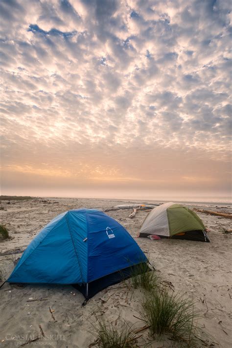 Coastal Insight Camping On Capers Island