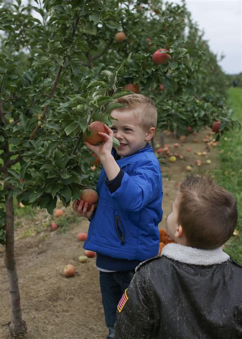 Picking at Eckert's - Raising Roberts