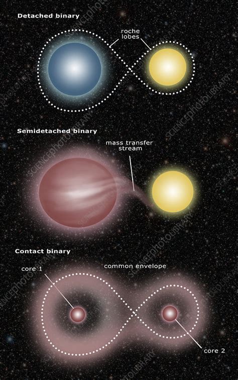 Binary Star Systems Stock Image C029 5861 Science Photo Library