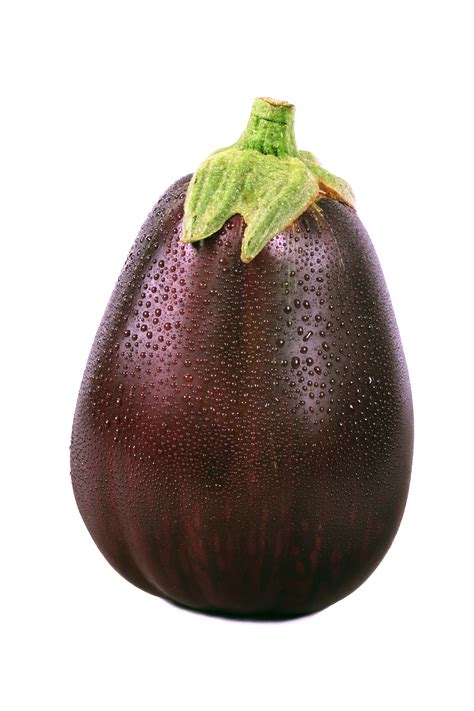 Aubergine and Mozzarella Rounds | CheapEats.ie