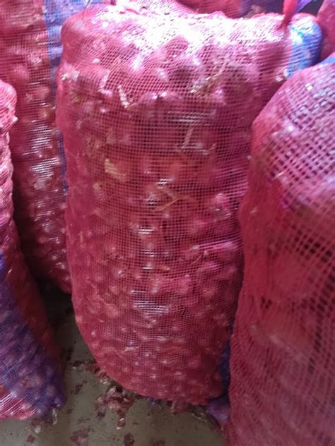 Alivia Export Import In Murshidabad Exporter Of Onions Organic Onion