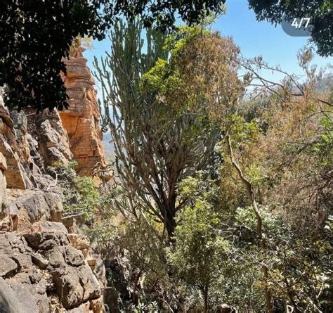 Hiking Trails Piesangkloof 4×4 Trails And Bush Camp