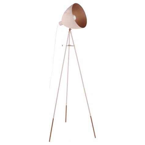 Eglo Lighting 49039 Chester P Single Light Steel Floor Lamp In Pastel