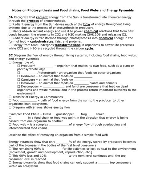 Notes On Photosynthesis And Food Chains Food Webs And Energy