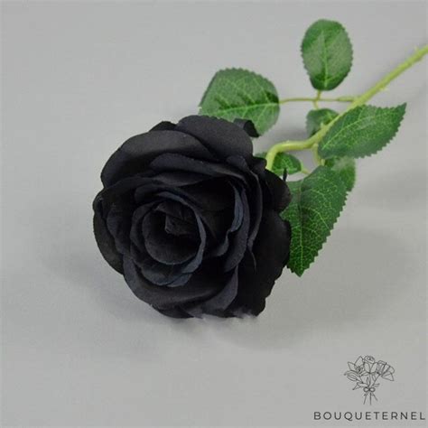 Descubra Kuva Bouquet De Rose Noir Thptnganamst Edu Vn