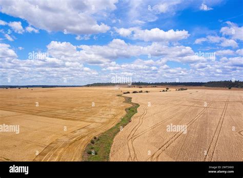 Aerial Of Wheat Fields And Drainage Channel Near Wallumbilla On The