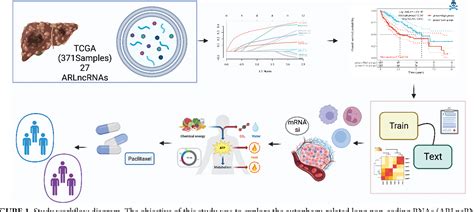 Figure 1 From Developing Risk Models And Subtypes Of Autophagy