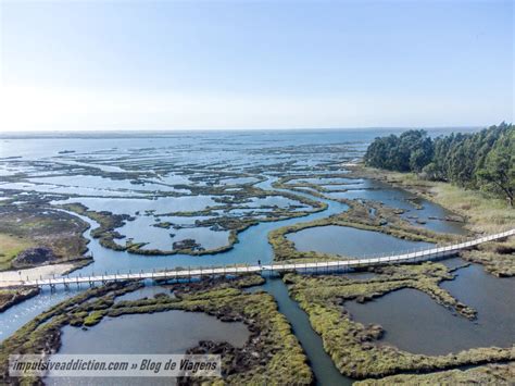 Passadi Os Da Ria De Aveiro Em Esgueira