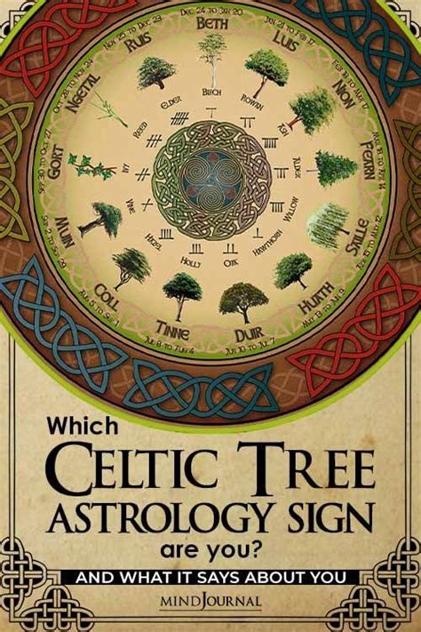 Which Celtic Tree Astrology Sign Are You and What It Says About You | Celtic tree astrology ...