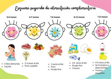 Esquema Sugerido De Alimentaci N Complementaria Mafer Gtz Udocz