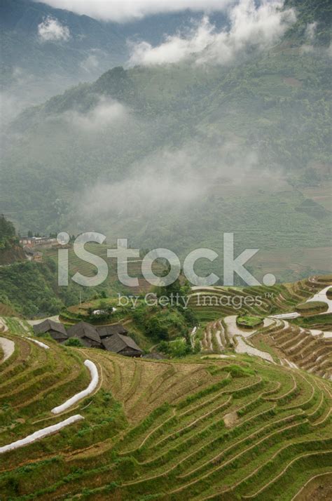 Rice Terraces Near Guilin Stock Photo | Royalty-Free | FreeImages