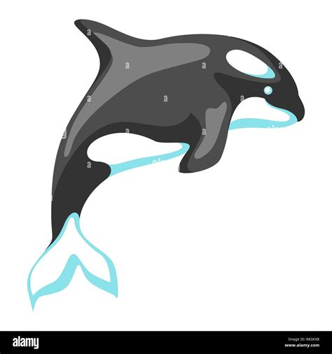 Killer Whale Cartoon Stock Vector Images Alamy