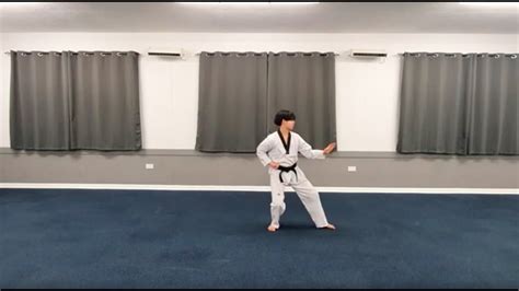 6th KUP Green Belt Basic Hand Techniques Stances YouTube