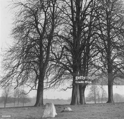 Robert Snooks Photos And Premium High Res Pictures Getty Images