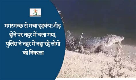 मगरमच्छ से मचा हड़कंप भीड़ होने पर नहर में चला गया पुलिस ने नहर में नहा रहे लोगों को निकाला