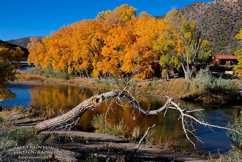 Autumn On The Rio Grande New Mexico Rio