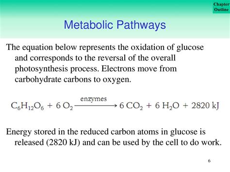 Carbohydrate Metabolism Ppt Download