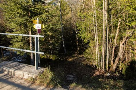 Vom Schiederweiher auf den Stodertaler Höhenweg Bahn zum Berg