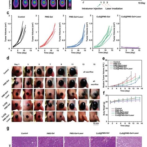 In Vivo Antitumor Effect Of Cus Pmsgel A Ir Thermal Images Of B F