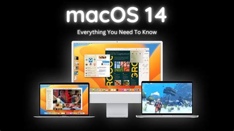 MacOS 14 Everything You Need To Know The Insight Post